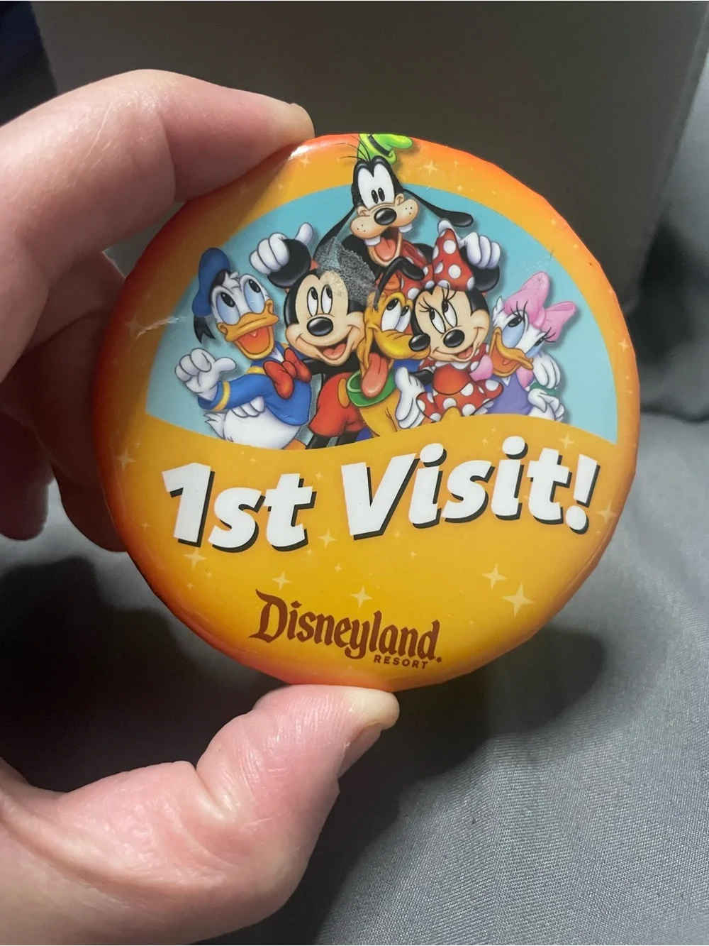 Disney disneyland visitors